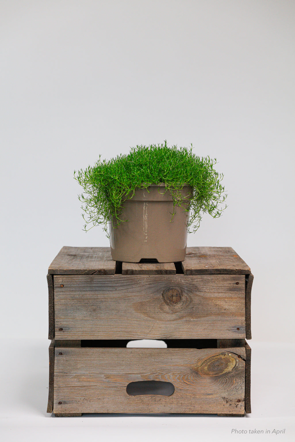 products/SotoProductShootLowQ-1899_3d1c6f94-ef83-46f4-8b08-985c54034cd8.jpg